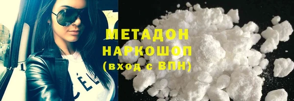 прущие грибы Бородино