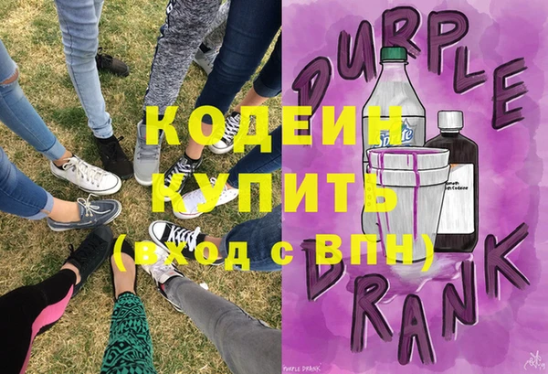 прущие грибы Бородино
