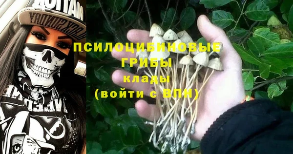 амф Верея