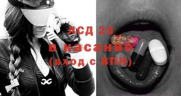 прущие грибы Бородино