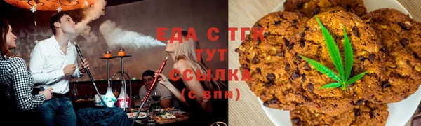 прущие грибы Бородино