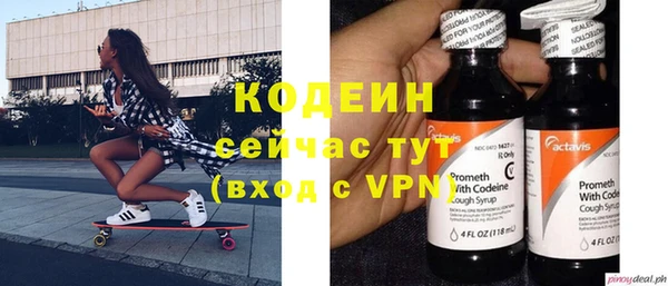 прущие грибы Бородино