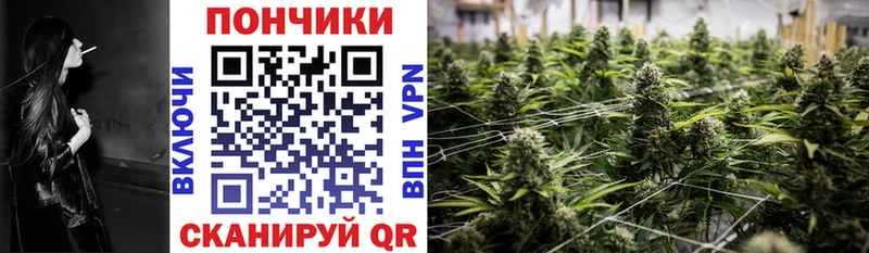 МАРИХУАНА THC 21% Новое Девяткино